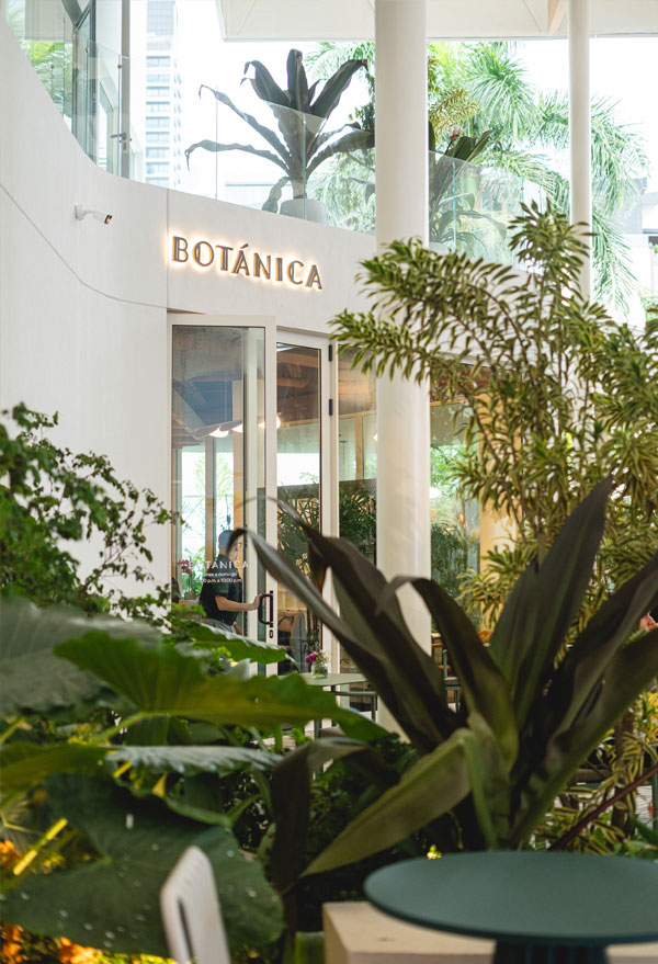 formato-vertical-botanica-2